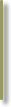 dividing line